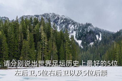 足球各個(gè)位置歷史最佳