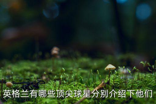 從03足球巔峰球員,足球史上巔峰期最強(qiáng)的球員