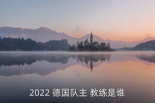 德國前足球教練,德國足球教練勒夫圖片
