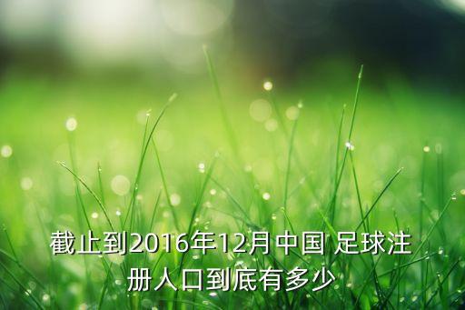 截止到2016年12月中國 足球注冊(cè)人口到底有多少