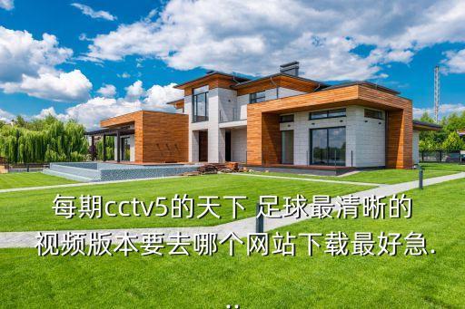 每期cctv5的天下 足球最清晰的 視頻版本要去哪個網站下載最好急...