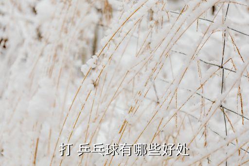打 乒乓球有哪些好處