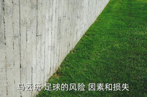 馬云玩 足球的風(fēng)險(xiǎn) 因素和損失