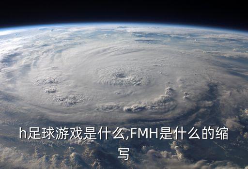 fmh足球游戲是什么,FMH是什么的縮寫