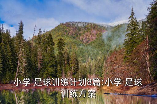 小學(xué) 足球訓(xùn)練計劃8篇:小學(xué) 足球訓(xùn)練方案