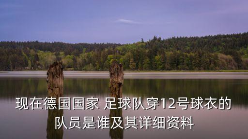 現(xiàn)在德國國家 足球隊(duì)穿12號球衣的隊(duì)員是誰及其詳細(xì)資料