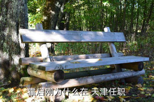 霍啟剛為什么在 天津任職