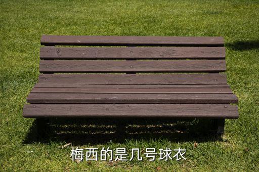 30號 足球