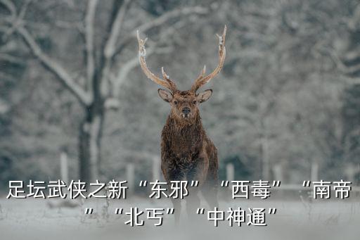 黃藥師足球競彩網(wǎng)站,競彩黃藥師怎么找不到了