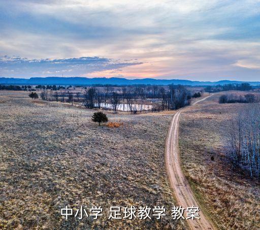 中小學(xué) 足球教學(xué) 教案