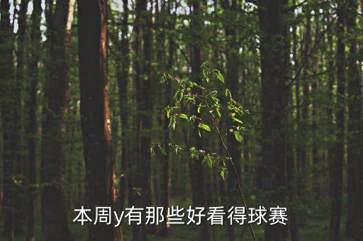 本周y有那些好看得球賽