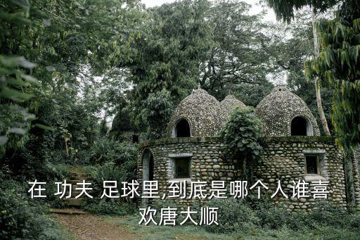 在 功夫 足球里,到底是哪個人誰喜歡唐大順