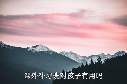 課外補(bǔ)習(xí)班對(duì)孩子有用嗎
