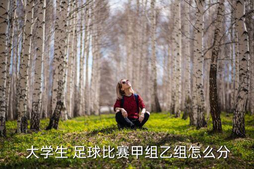  大學生 足球比賽甲組乙組怎么分