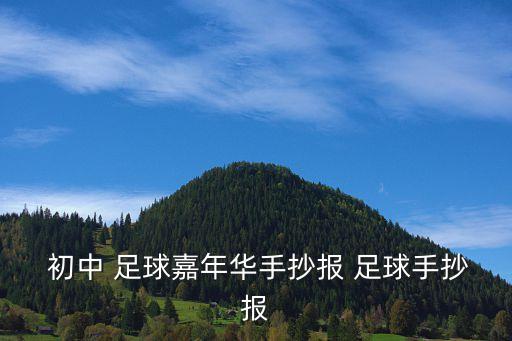  初中 足球嘉年華手抄報(bào) 足球手抄報(bào)