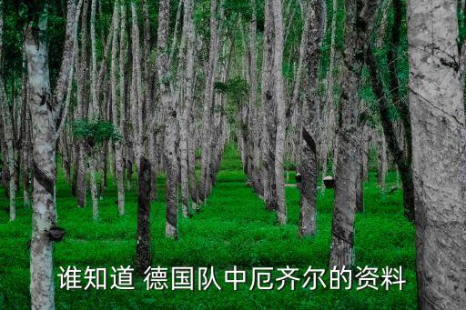 誰知道 德國隊(duì)中厄齊爾的資料