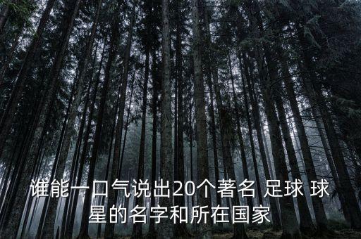誰能一口氣說出20個(gè)著名 足球 球星的名字和所在國家