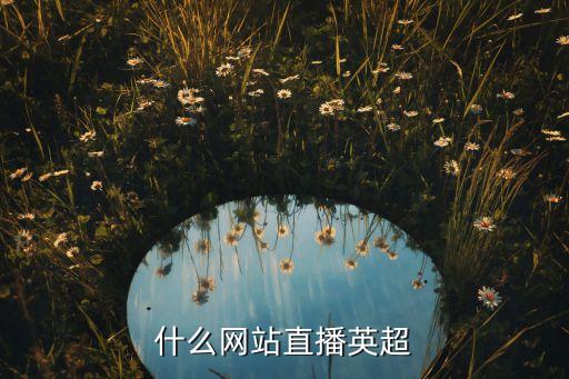 什么網(wǎng)站直播英超