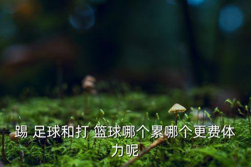 踢 足球和打 籃球哪個累哪個更費體力呢