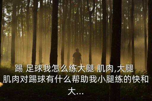 踢 足球我怎么練大腿 肌肉,大腿 肌肉對踢球有什么幫助我小腿練的快和大...