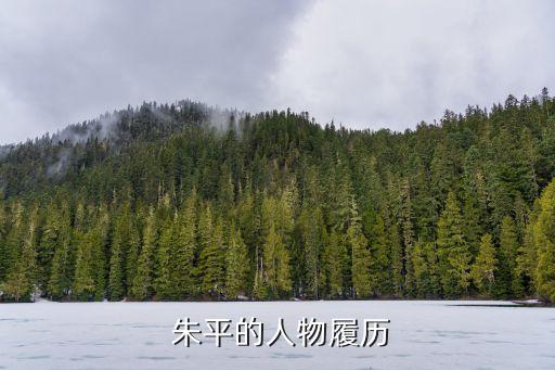 中國足球朱平