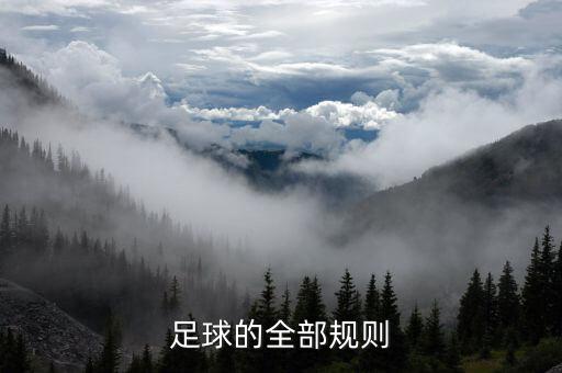 充氣大足球場(chǎng),有一個(gè)大足球場(chǎng)的英文