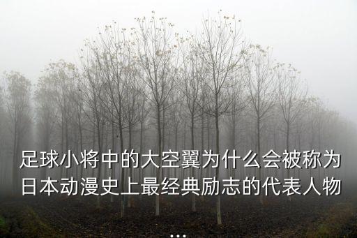 日本足球名人,大連足球名人
