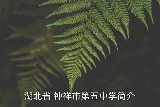 湖北省 鐘祥市第五中學(xué)簡介