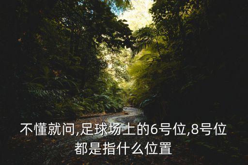 權(quán)健足球隊(duì)6號(hào),天津權(quán)健足球隊(duì)外援