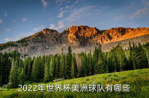 2022年世界杯美洲球隊有哪些