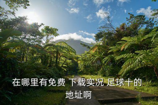 在哪里有免費(fèi) 下載實(shí)況 足球十的 地址啊