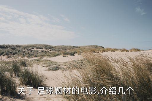 關(guān)于 足球題材的電影,介紹幾個(gè)