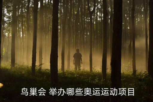 鳥巢會 舉辦哪些奧運運動項目