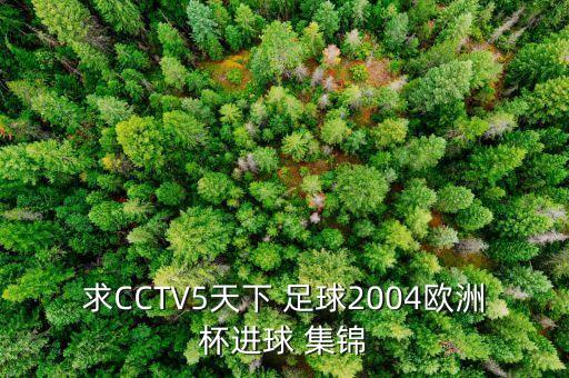 足球集錦高清視頻,梅西足球視頻集錦高清保存