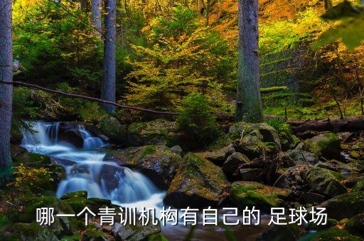 哪一個青訓機構(gòu)有自己的 足球場