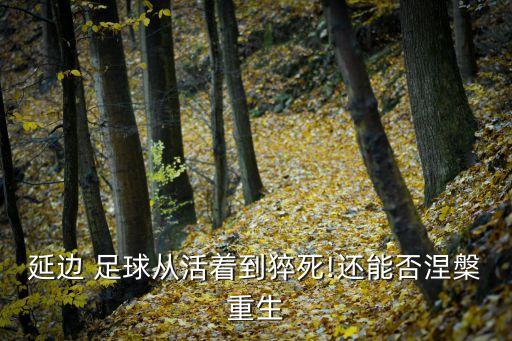 延邊 足球從活著到猝死!還能否涅槃重生