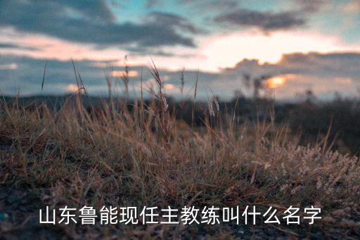 山東魯能現任主教練叫什么名字