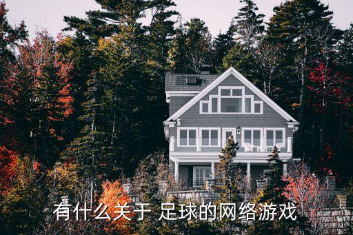 有什么關(guān)于 足球的網(wǎng)絡(luò)游戲