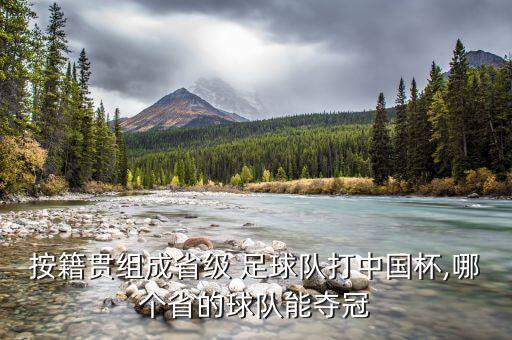 按籍貫組成省級 足球隊打中國杯,哪個省的球隊能奪冠