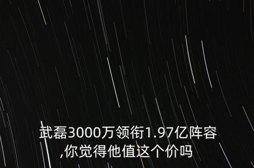 上港足球隊(duì)員武磊薪酬,中國(guó)足球隊(duì)員武磊簡(jiǎn)介