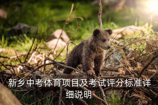  新鄉(xiāng)中考體育項目及考試評分標準詳細說明