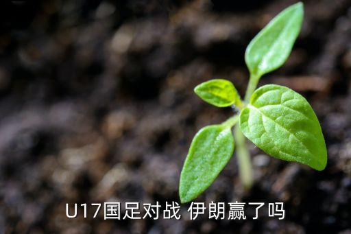 U17國足對戰(zhàn) 伊朗贏了嗎