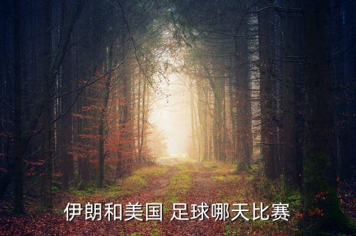 伊朗和美國 足球哪天比賽