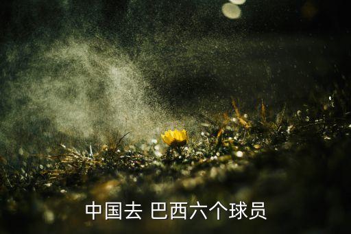 中國去 巴西六個球員