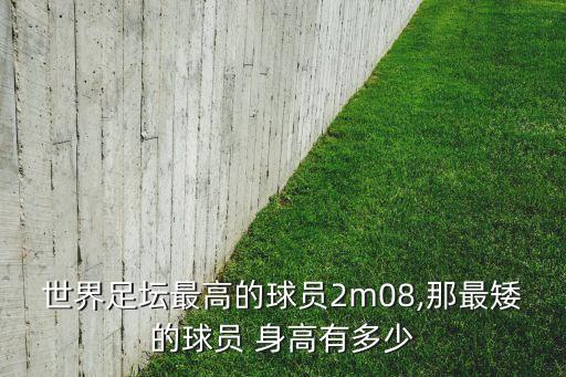 世界足壇最高的球員2m08,那最矮的球員 身高有多少