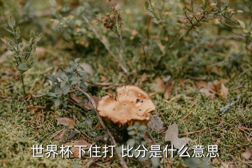 世界杯下住打 比分是什么意思