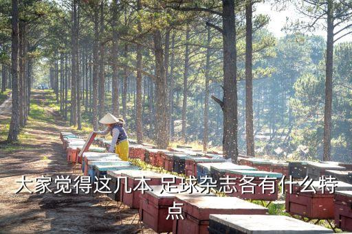 大家覺得這幾本 足球雜志各有什么特點(diǎn)