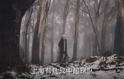  上海有幾只中超球隊
