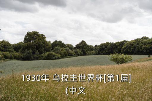 1930年 烏拉圭世界杯[第1屆](中文