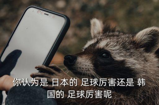 日本vs韓國足球